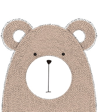 Medve nap