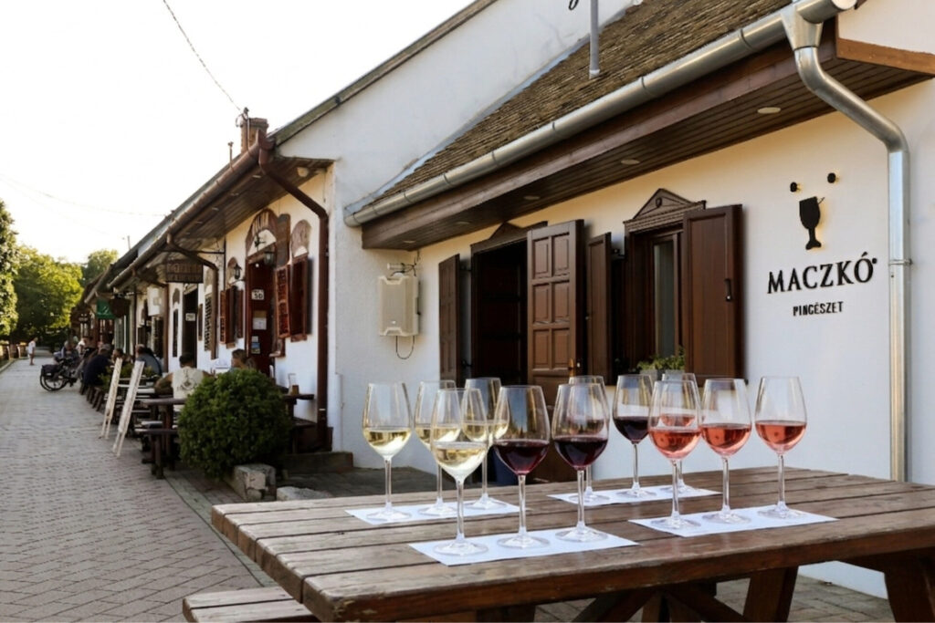 maczkó pincészet borkóstolás